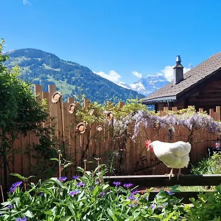 Le Muveran Domek alpejski Gryon
