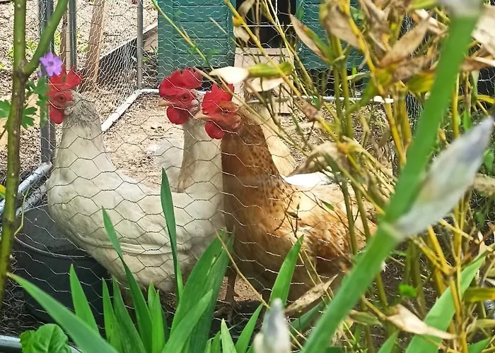 Domek alpejski Le Muveran